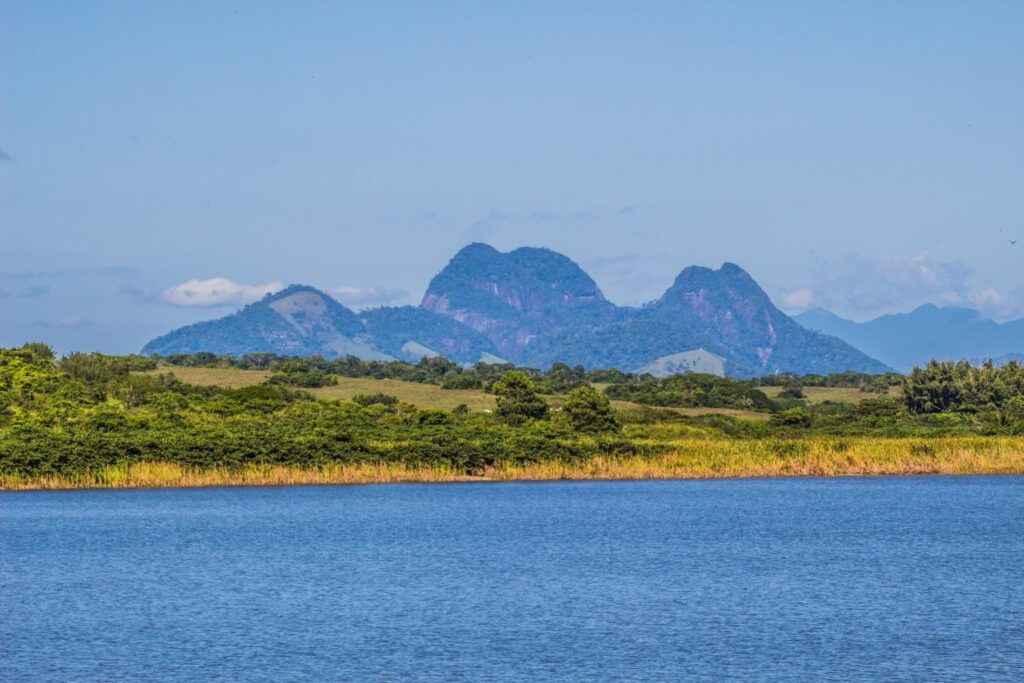 Pesquisadores da UFRJ participam da despoluição de lagoa em Macaé