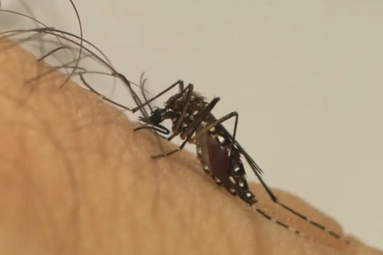 Estado do Rio decreta fim da epidemia de dengue