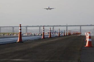 Avião bate em ave e interrompe operações no Santos Dumont