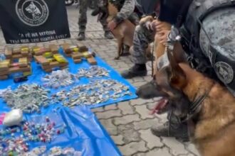 Cães farejadores ajudam PM a apreender drogas no Rio