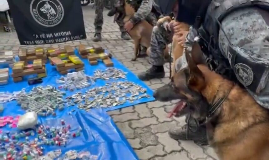 Cães farejadores ajudam PM a apreender drogas no Rio