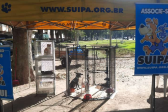 Prefeitura do Rio terá que alimentar animais abrigados na Suipa