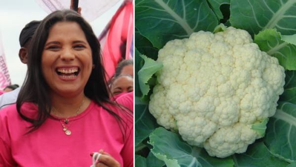 Nenhuma empresa se interessa em fornecer couve-flor por até R$ 23 em licitação de Japeri