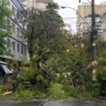 Chuva provoca queda de árvore e falta de luz em Niterói