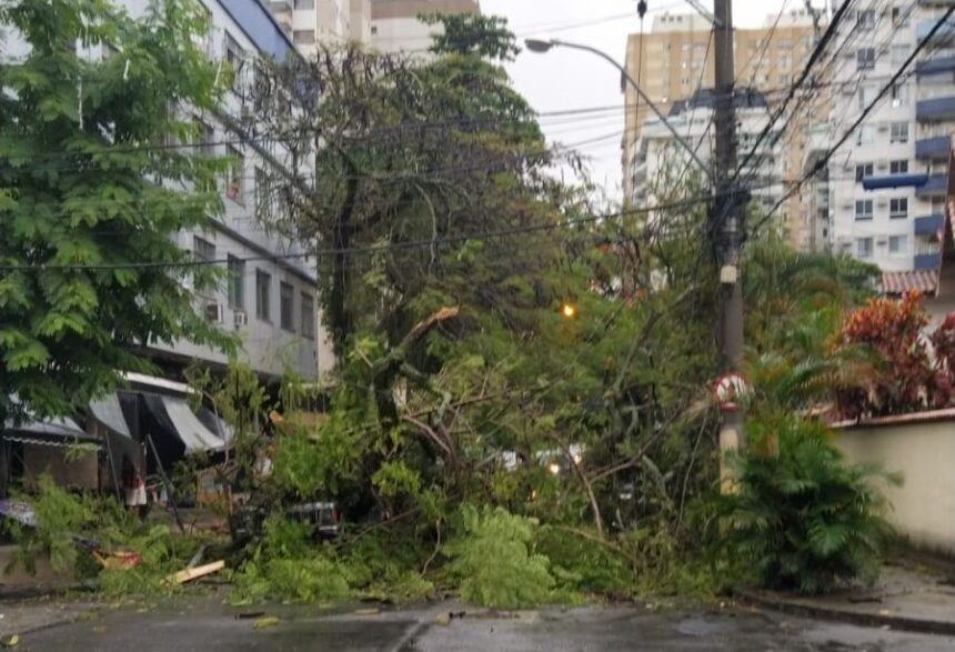 Chuva provoca queda de árvore e falta de luz em Niterói