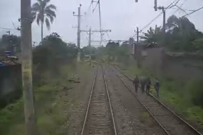 SuperVia sofre 54 mil calotes por dia com 'puladas de muro'