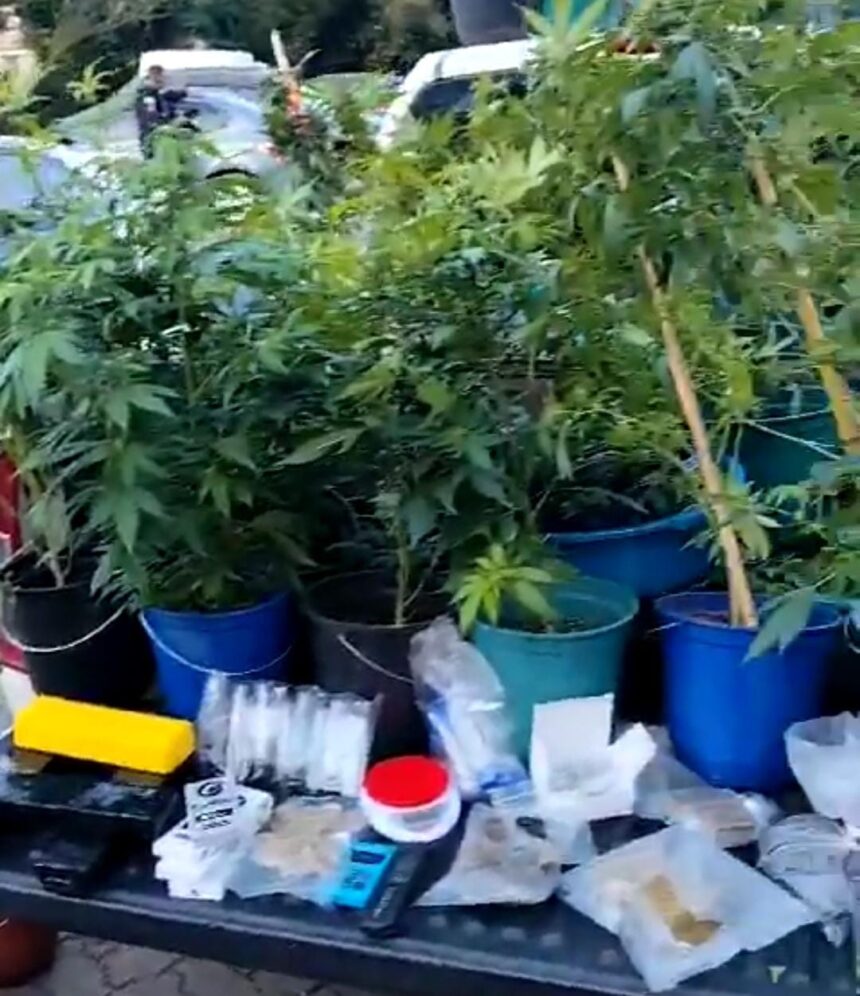 Polícia estoura laboratório de maconha na Região Serrana