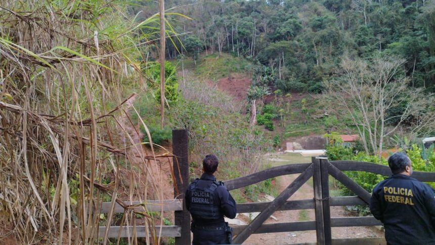 Bandidos usavam documentos falsos do exército para comprar armas