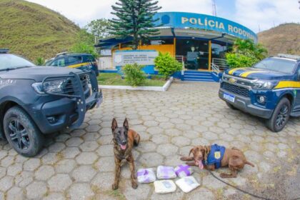 Cães farejadores encontram drogas em ônibus na Serra das Araras