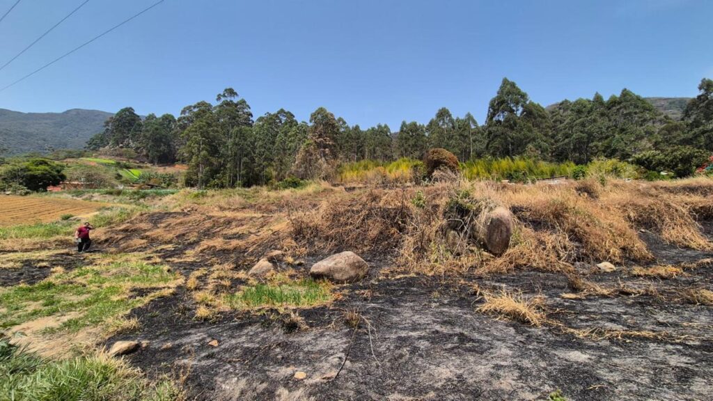 Incêndios: polícia identifica 34 autores e prende cinco