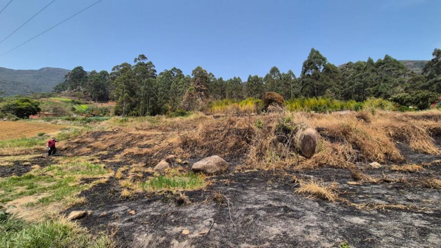 Incêndios: polícia prende cinco e identifica 34 autores