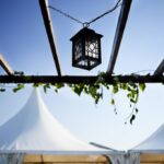 coorporate-ceremony-venue-with-leafs-and-blue-sky