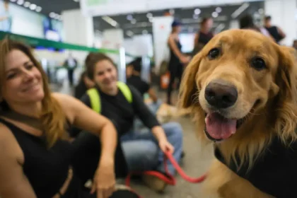 Cães de assistência poderão acompanhar pessoas com deficiência em transportes