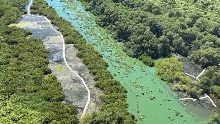 Cidade do Rio vai ganhar novo parque municipal na Barra da Tijuca