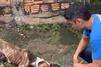 Luiz Ramos Filho cuidando de um cão abandonado: depois que o vereador foi anunciado futuro secretário, seu celular não parou de receber mensagens