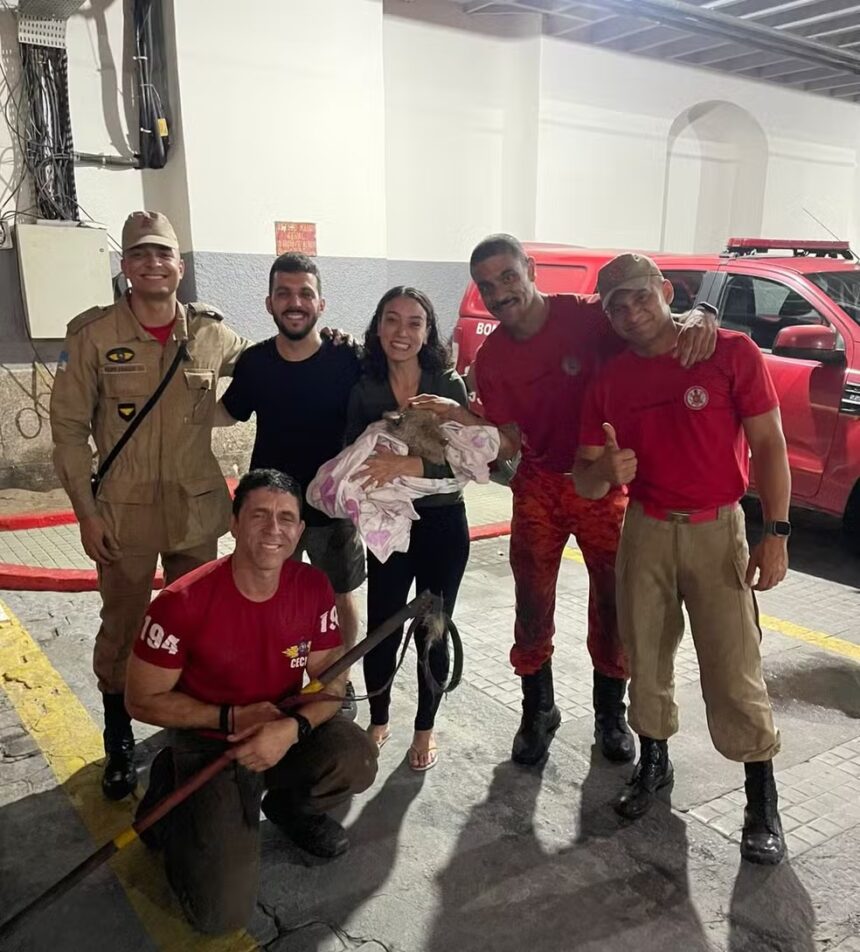 Cachorro é resgatado após ficar mais de cinco horas preso sob a Ponte Rio-Niterói