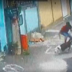 Mulher é atacada por pitbull em vila na Zona Oeste do Rio; vídeo