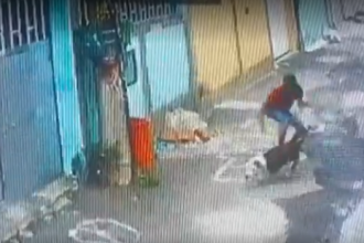 Mulher é atacada por pitbull em vila na Zona Oeste do Rio; vídeo