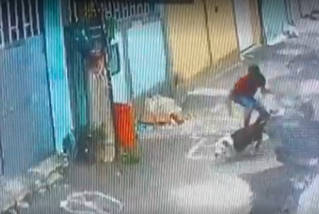 Mulher é atacada por pitbull em vila na Zona Oeste do Rio; vídeo