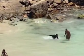 Banhistas perseguem tartaruga em Arraial do Cabo a imagens viralizam; veja o vídeo