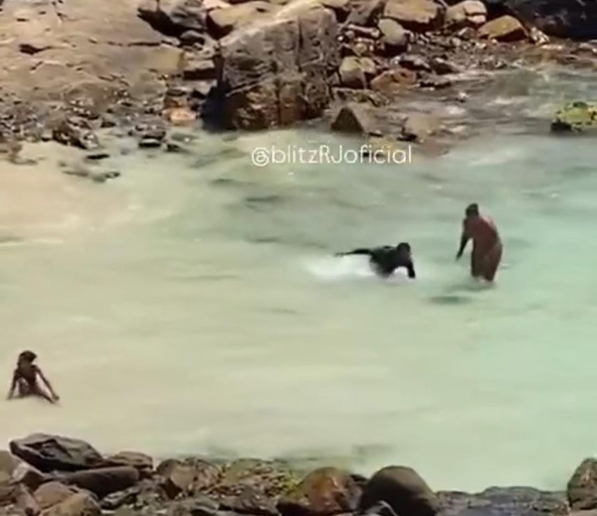 Banhistas perseguem tartaruga em Arraial do Cabo a imagens viralizam; veja o vídeo