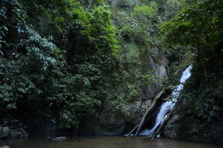 Trilhas caem no gosto do povo e se tornam opção para o verão no Rio