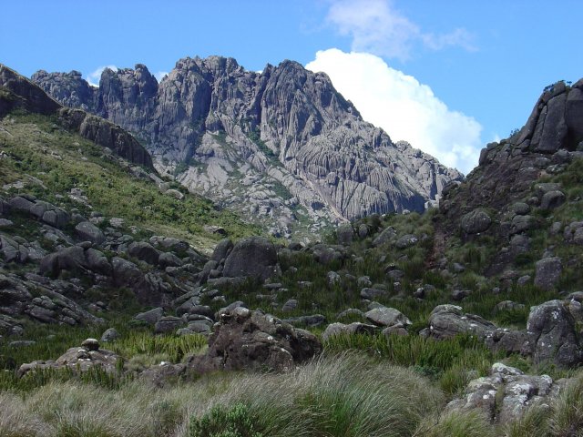 phoca thumb l agulhas negras 2791m crdito daniel toffoli pni