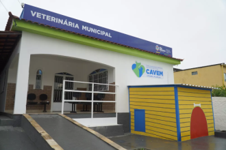 A Prefeitura de São Gonçalo abriu na última segunda-feira (27), 640 vagas para castração de cães e gatos na cidade. Os procedimentos serão realizados nos Centros de Atendimentos Veterinários Municipais (Cavems).