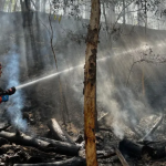 MP fiscaliza ações de combate a incêndios florestais no Centro-Sul Fluminense