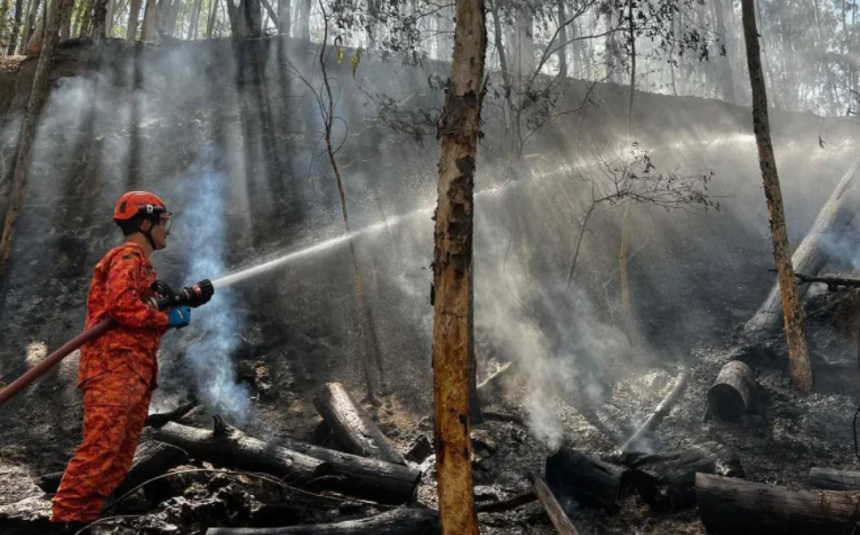 MP fiscaliza ações de combate a incêndios florestais no Centro-Sul Fluminense