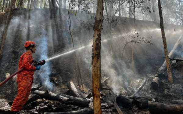 MP fiscaliza ações de combate a incêndios florestais no Centro-Sul Fluminense 48 MP fiscaliza ações de combate a incêndios florestais no Centro-Sul Fluminense