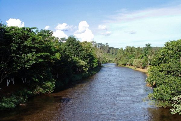 Inea finaliza licitação de R$ 11,9 milhões para estudos sobre a bacia do Rio Piabanha 48 Inea finaliza licitação de R$ 11,9 milhões para estudos sobre a bacia do Rio Piabanha