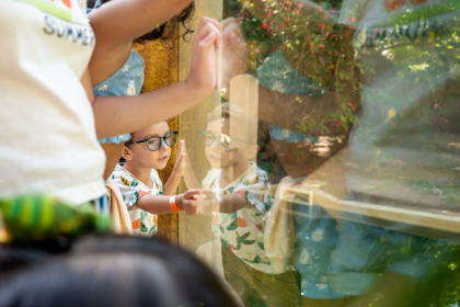 O BioParque do Rio se prepara para a folia com uma programação especial para toda a família. O evento 'BioFolia 2025 – Um Carnaval Animal!' acontecerá durante a semana do carnaval, de 1º a 5 de março, e contará com atrações como banho de espuma, bailinho e atividades educativas sobre a biodiversidade brasileira.