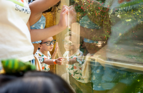 O BioParque do Rio se prepara para a folia com uma programação especial para toda a família. O evento 'BioFolia 2025 – Um Carnaval Animal!' acontecerá durante a semana do carnaval, de 1º a 5 de março, e contará com atrações como banho de espuma, bailinho e atividades educativas sobre a biodiversidade brasileira.