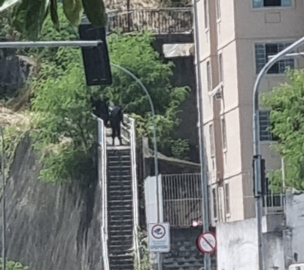 Uma operação da Polícia Militar no Morro do Preventório, em Charitas, Niterói, deixou um suspeito morto e outros sete presos na manhã desta segunda-feira (10). Ainda foram apreendidos quatro fuzis e duas pistolas, além de drogas que ainda serão contabilizadas pela PM.