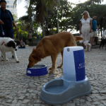 Em resposta às altas temperaturas que vêm afetando o Rio, o governo estadual determinou a instalação de pontos de hidratação para animais de estimação, como cães e gatos, em diversos locais estratégicos. A iniciativa começou a funcionar diariamente a partir desta quarta-feira (19), das 8h às 17h, até sexta-feira (21).