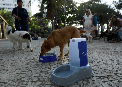 Em resposta às altas temperaturas que vêm afetando o Rio, o governo estadual determinou a instalação de pontos de hidratação para animais de estimação, como cães e gatos, em diversos locais estratégicos. A iniciativa começou a funcionar diariamente a partir desta quarta-feira (19), das 8h às 17h, até sexta-feira (21).