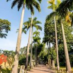 Zoológico BioParque do Rio oferece entrada gratuita para aniversariantes de março