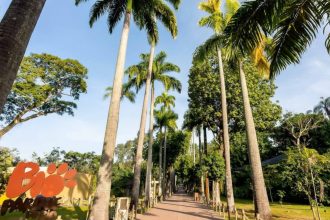 Zoológico BioParque do Rio oferece entrada gratuita para aniversariantes de março