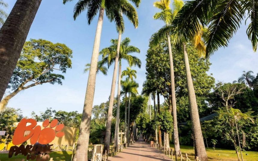 Zoológico BioParque do Rio oferece entrada gratuita para aniversariantes de março