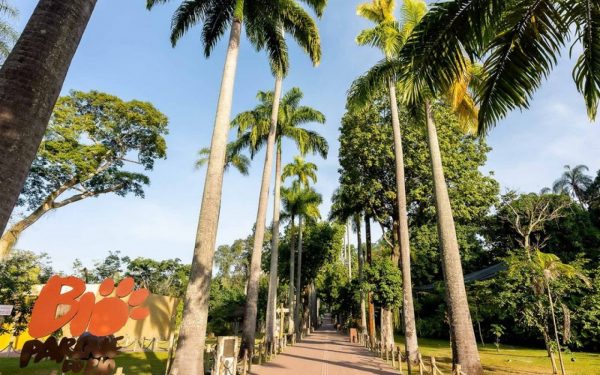 BioParque é fechado temporariamente depois da morte de nove galinhas-d’angola