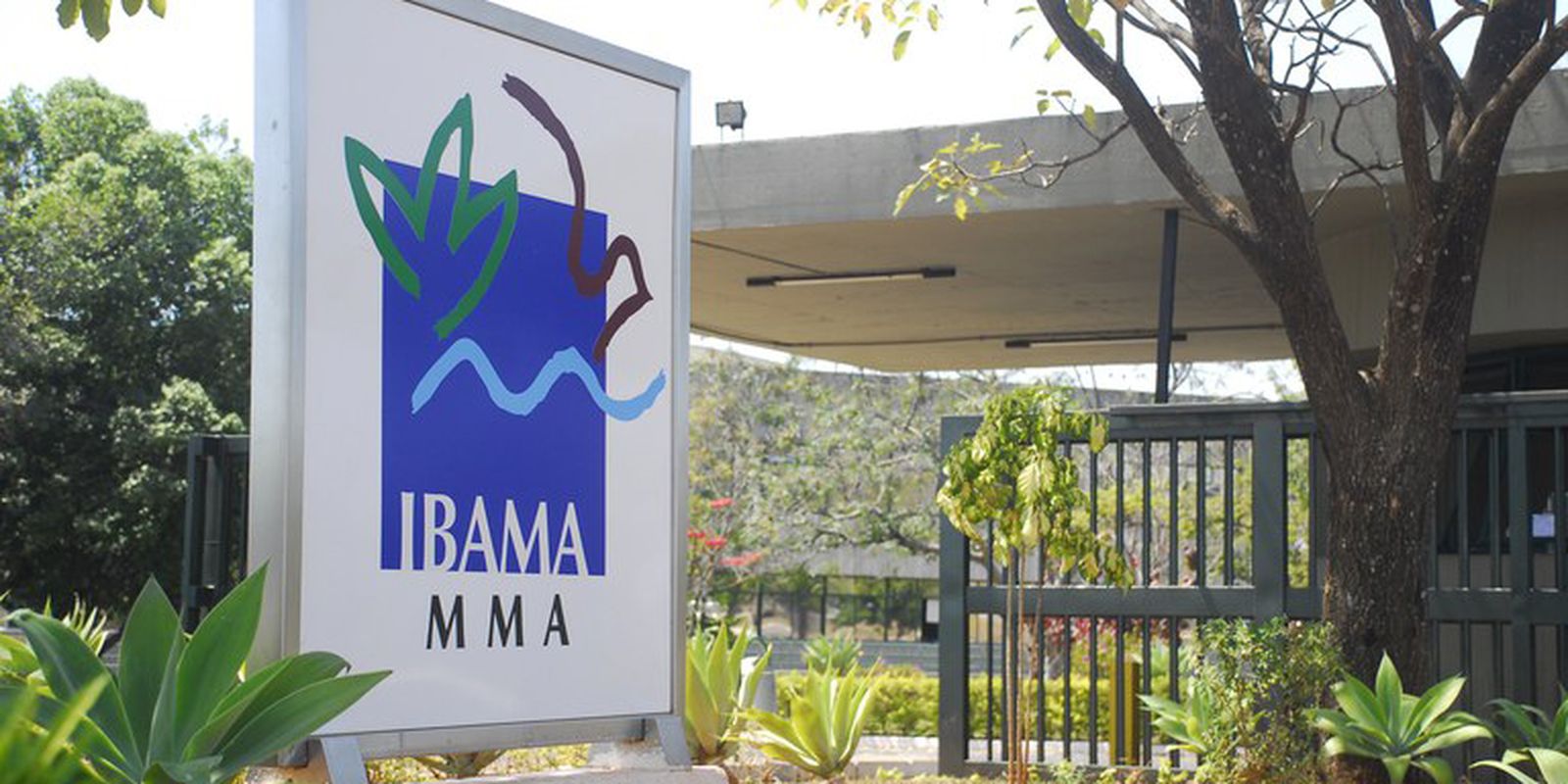 Ibama, CNPE e Margem Equatorial: uma opinião não solicitada