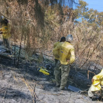 Influenciadores são alvos de operação da Civil por incêndio florestal na Prainha