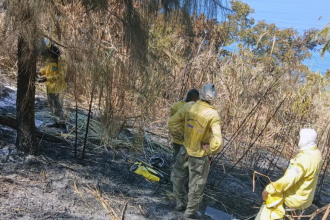 Influenciadores são alvos de operação da Civil por incêndio florestal na Prainha