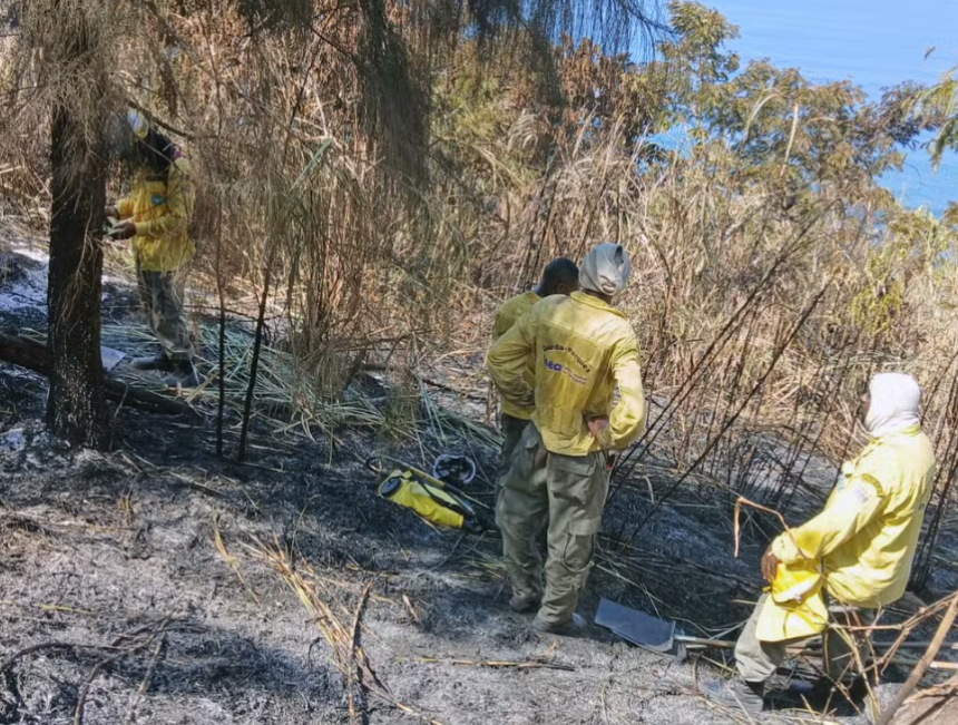 Influenciadores são alvos de operação da Civil por incêndio florestal na Prainha