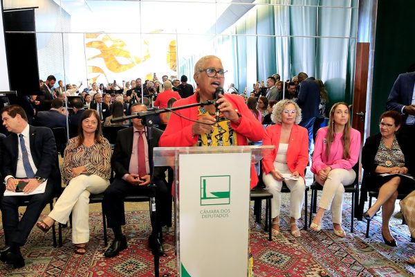 Deputada do Rio promove audiência sobre racismo na enfermagem, em Brasília