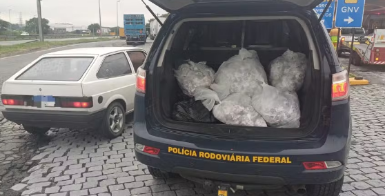 PRF apreende veículo com mais de R$ 270 mil em drogas na Dutra