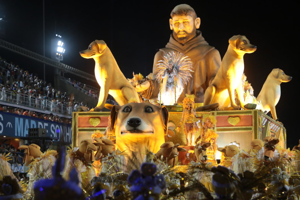 Se depender do deputado federal Marcelo Queiroz (PP), a São Clemente, escola que desfilou pela Série Ouro neste Carnaval, vai servir de exemplo para outras agremiações. A preto e amarelo levou para a Marquês de Sapucaí a causa animal com o enredo "A São Clemente dá voz a quem não tem".