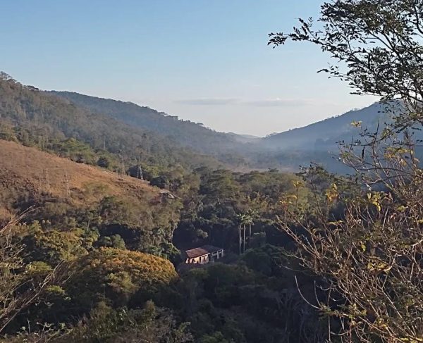 Ex-secretário é condenado por crimes ambientais na reserva de Araras, em Petrópolis