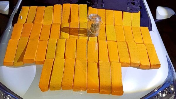 Operação estoura spa da maconha em Teresópolis
